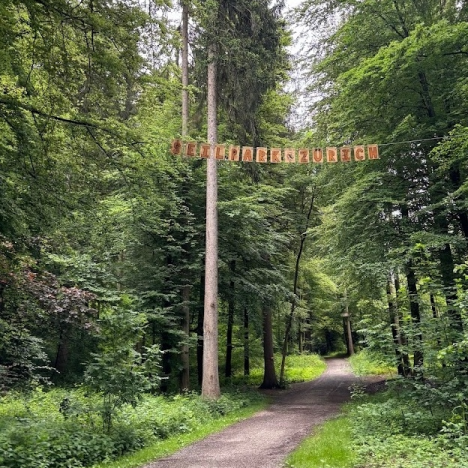 waldfoto seilpark.png